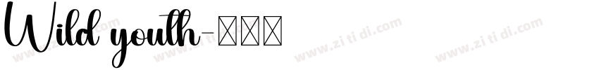 Wild youth字体转换